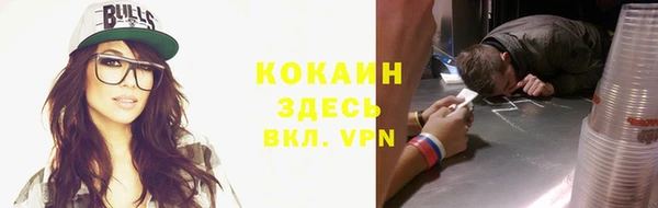 твердый Мегион