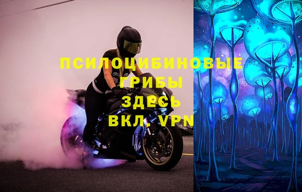 молекула духа Майский