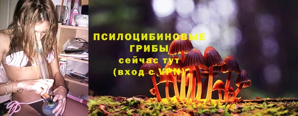 молекула духа Майский