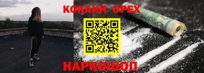 гашик Кандалакша