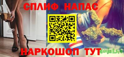 прущие грибы Беслан