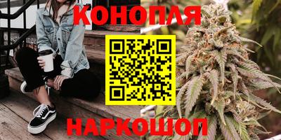 крисы Будённовск