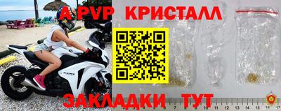 крисы Будённовск