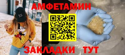 крисы Будённовск