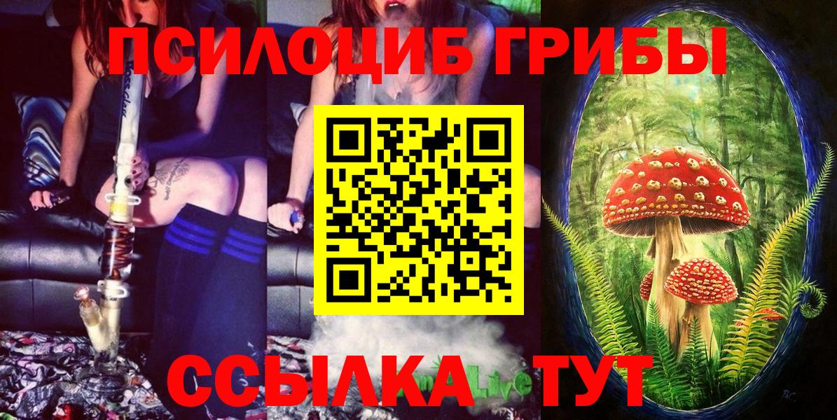 Карачаевск  Галлюциногенные грибы MAGIC MUSHROOMS  Вход с VPN 