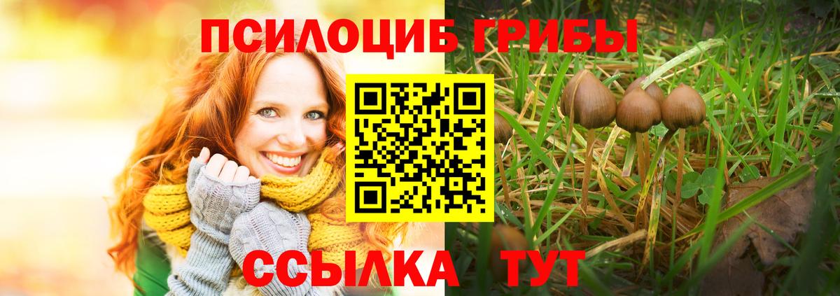 Псилоцибиновые грибы мухоморы  Карачаевск  Галлюциногенные грибы ЛСД 
